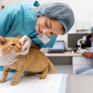 Clínica Médica e Cirúrgica de Pequenos Animais