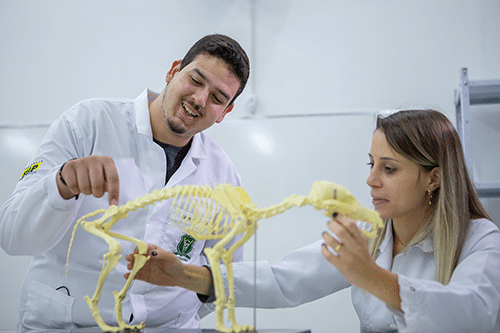 1ª Semana de Medicina Veterinária da FGP começa dia 8 de setembro