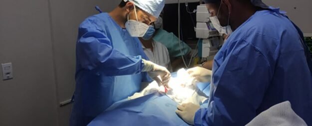 Aulas práticas mobilizam alunos de Veterinária