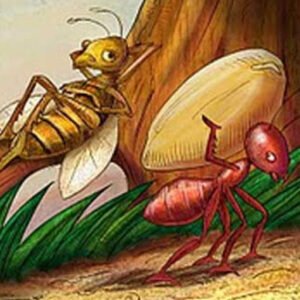 A Psicologia dos Contos de Fada